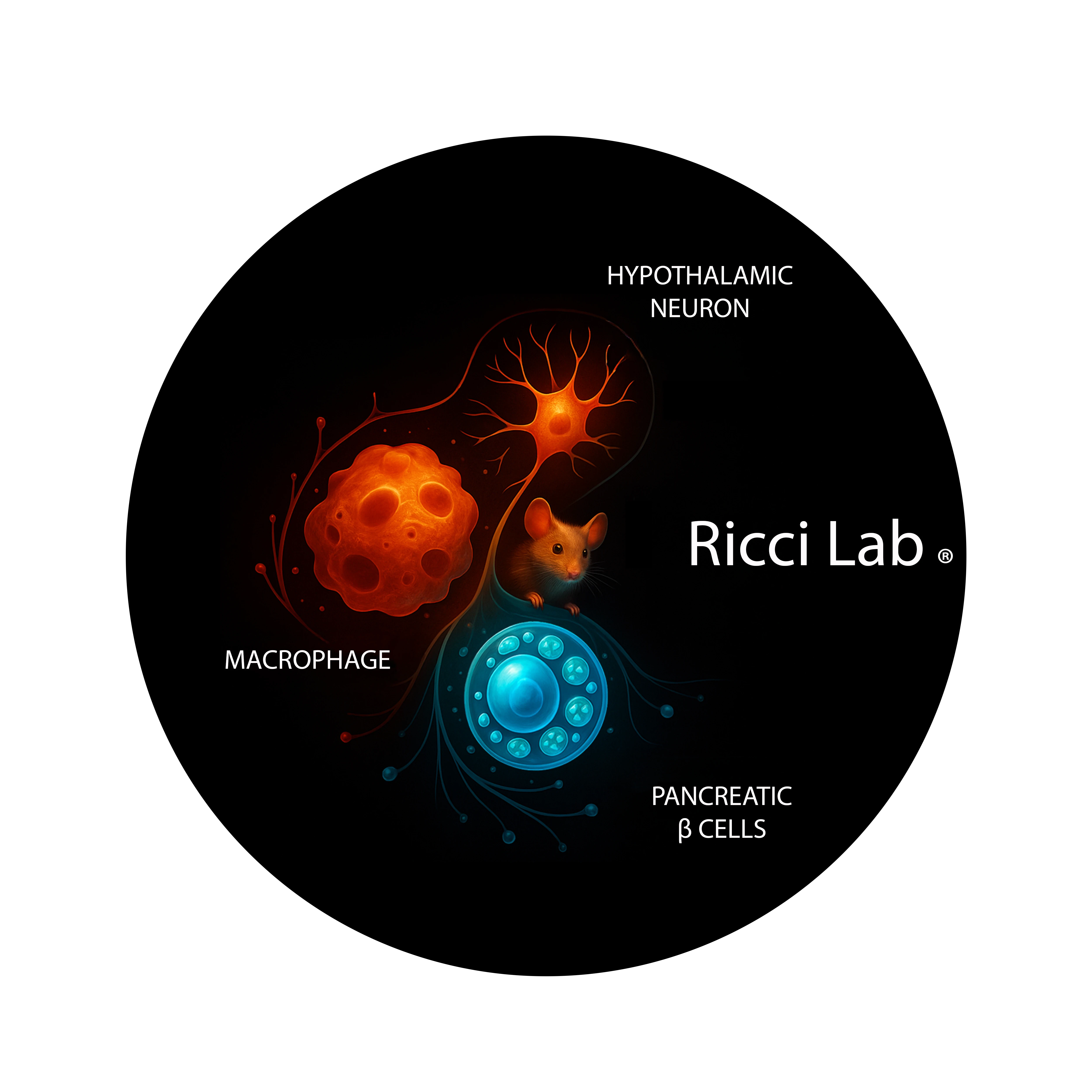 Ricci Lab emblem